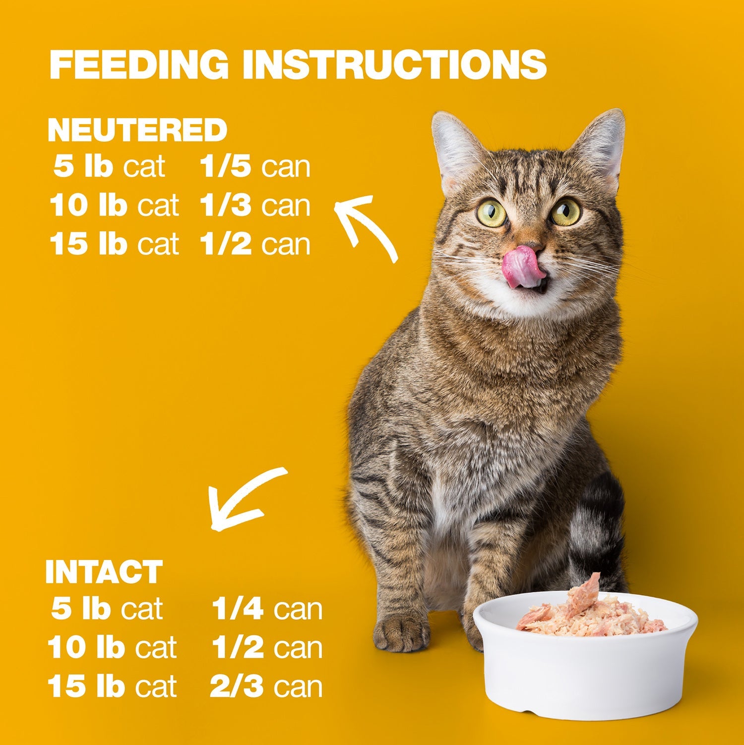 Chicken in Broth for Adult Cats High Protein Wet Cat Food