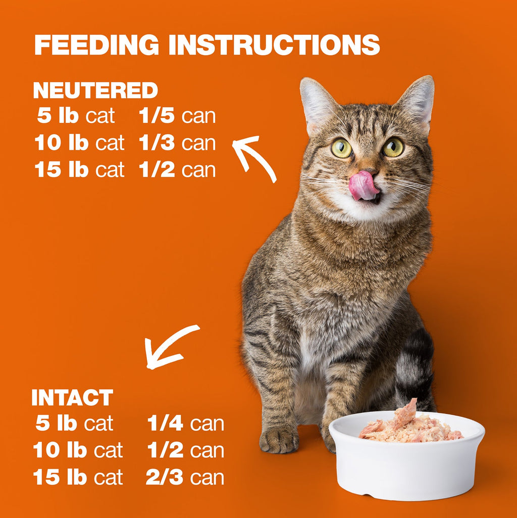 Chicken & Shrimp in Broth for Adult Cats High Protein Wet Cat Food