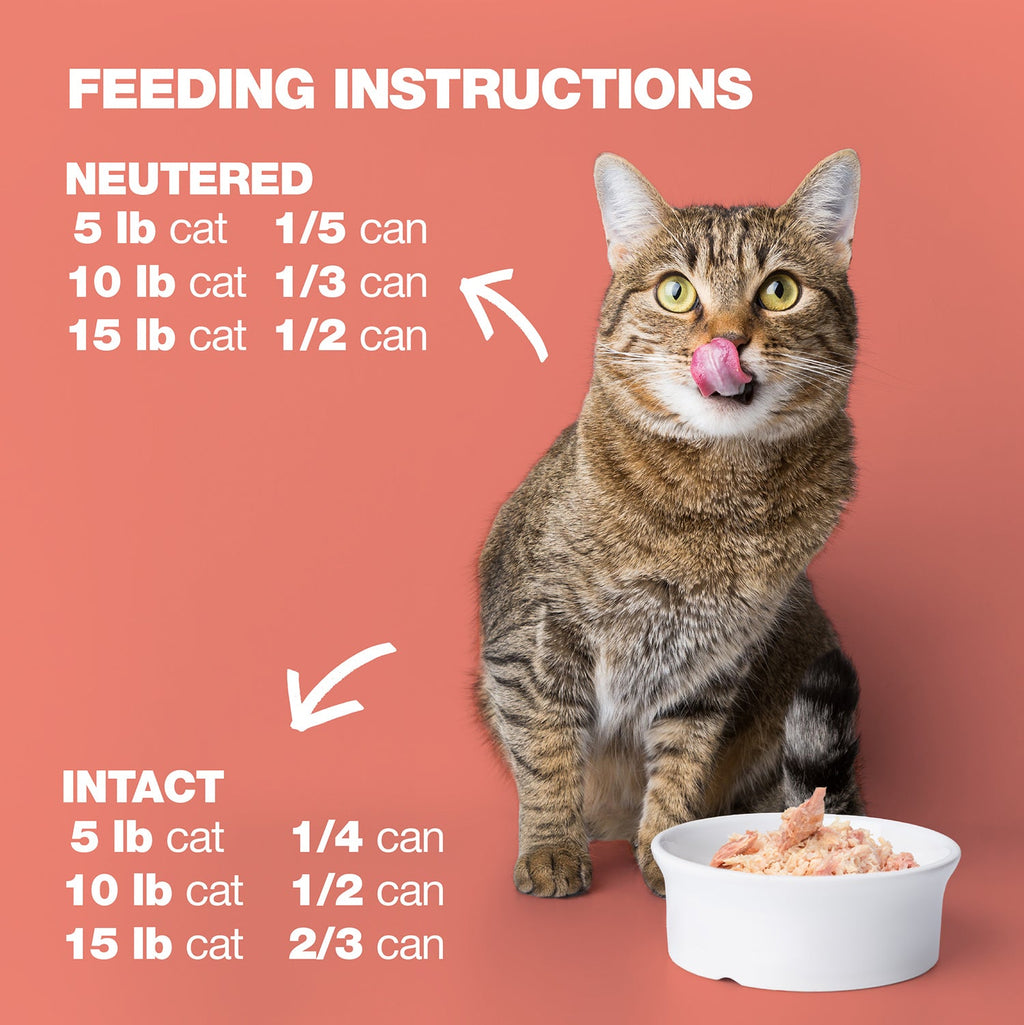Chicken & Salmon in Broth for Adult Cats High Protein Wet Cat Food