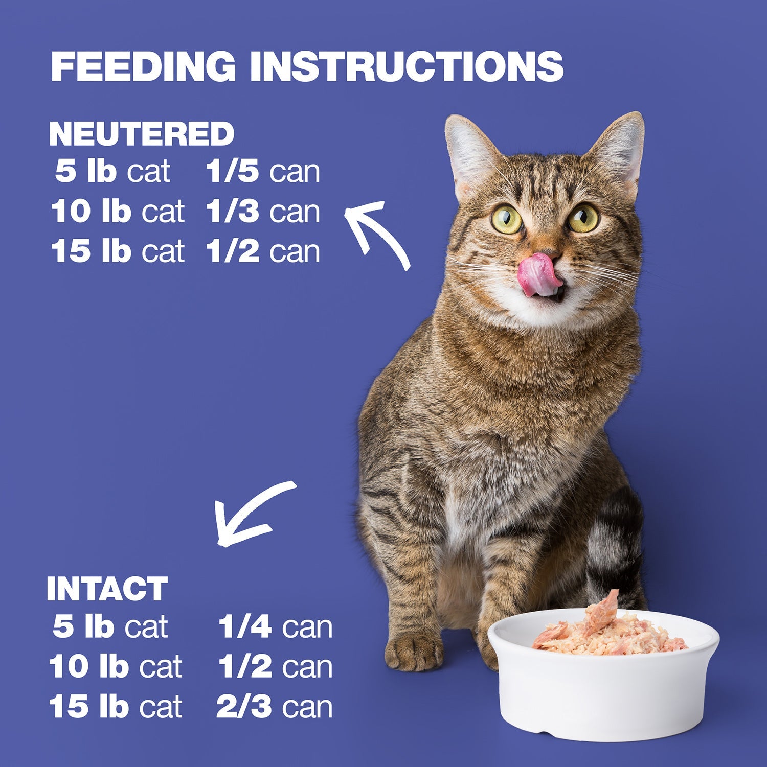 Tuna in Broth for Adult Cats High Protein Wet Cat Food