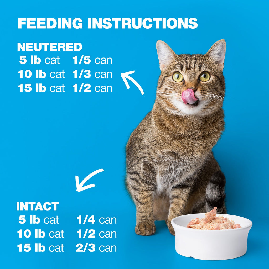 Tuna and Whitebait in Broth for Adult Cats High Protein Wet Food