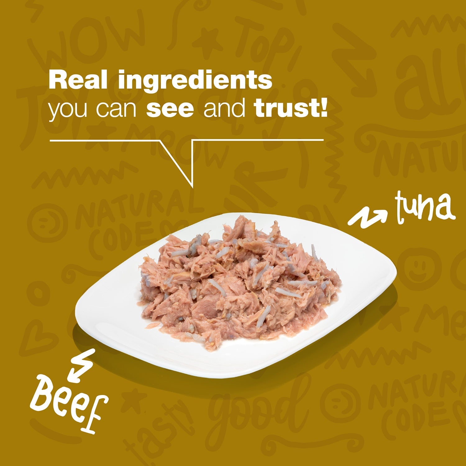 Tuna and Beef in Broth for Adult Cats High Protein Wet Cat Food