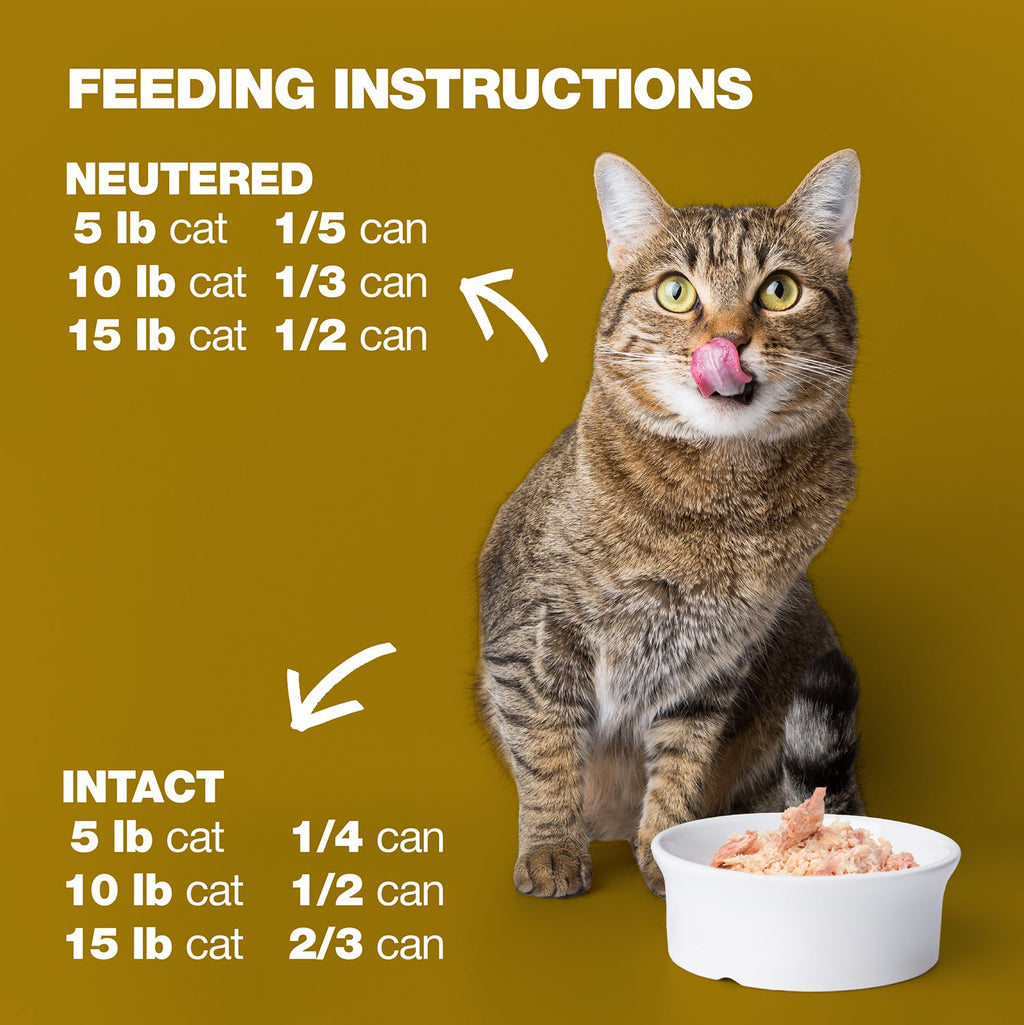 Tuna and Beef in Broth for Adult Cats High Protein Wet Cat Food