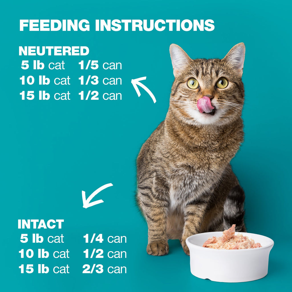 Tuna and Cheese in Jelly for Adult Cats High Protein Wet Cat Food