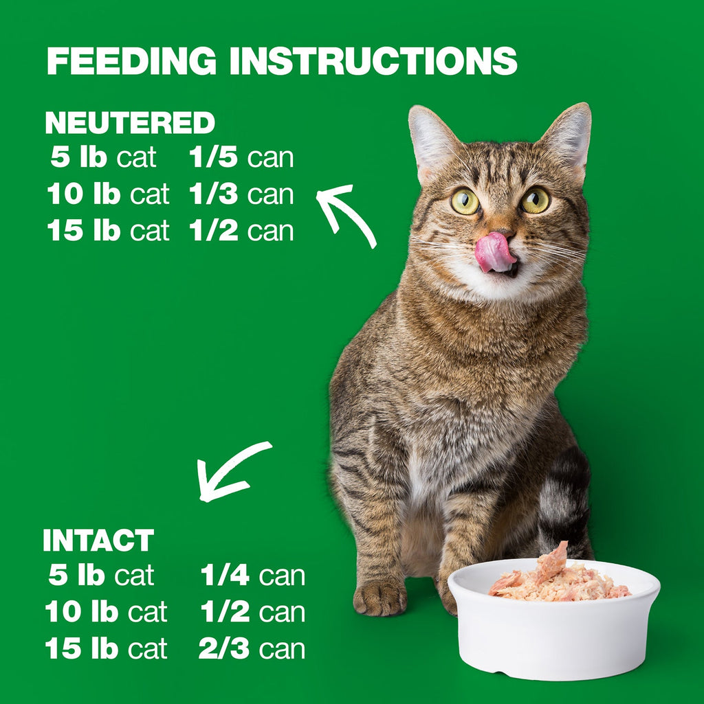 Tuna and Vegetables in Broth for Adult Cats High Protein Wet Cat Food