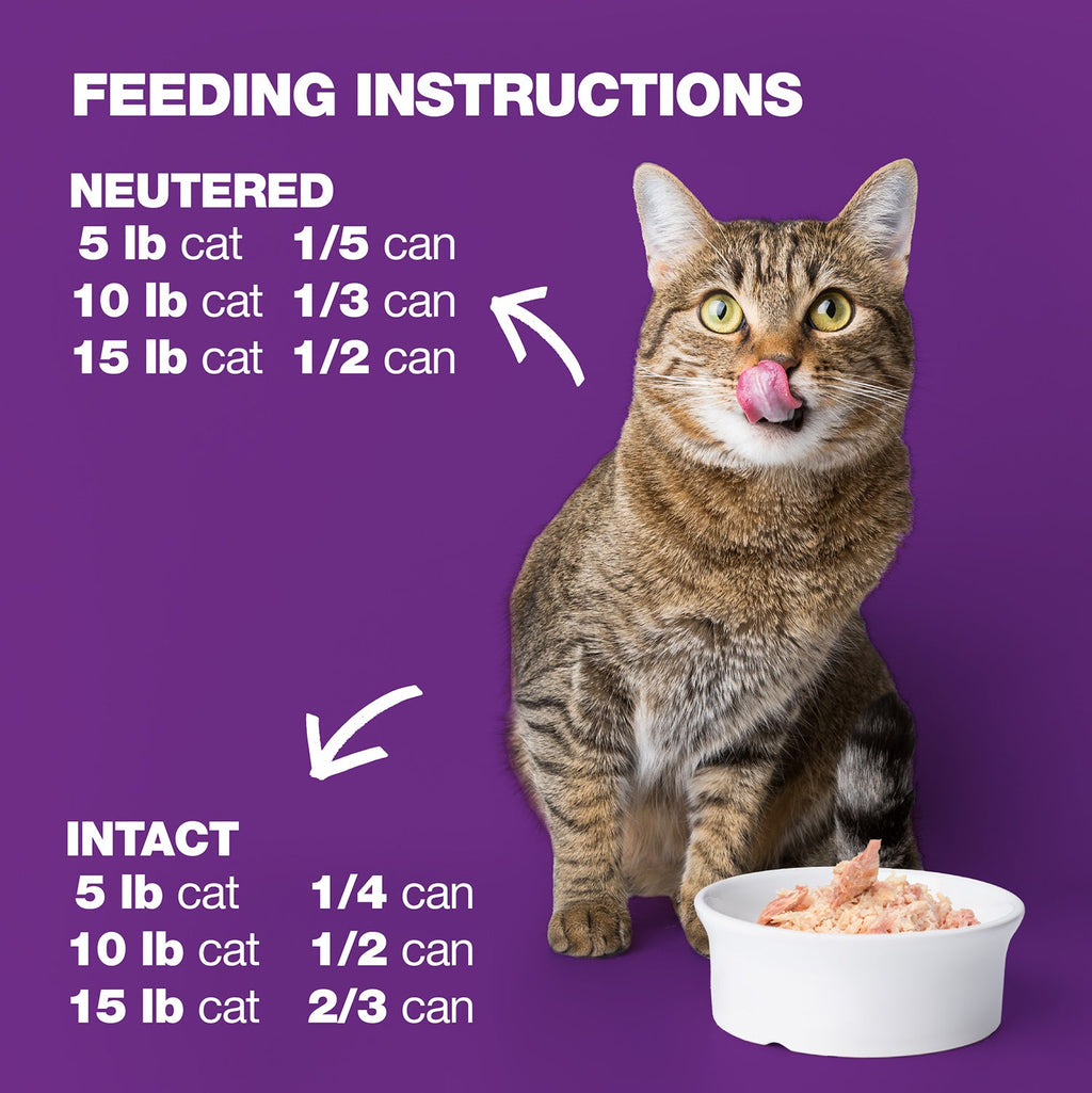 Tuna, Lamb & Potato in Jelly for Adult Cats High Protein Wet Cat Food