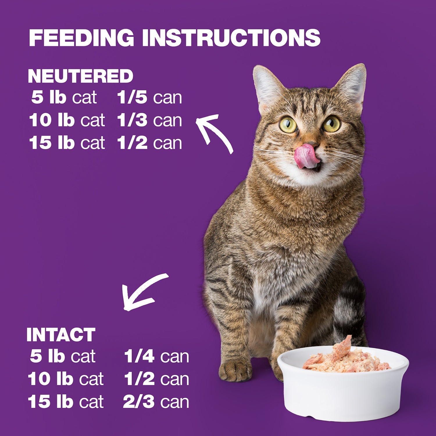 Tuna, Lamb & Potato in Jelly for Adult Cats High Protein Wet Cat Food