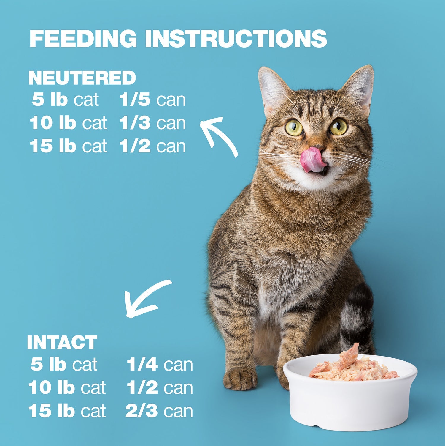 Tuna and Beef Liver in Jelly for Adult Cats High Protein Wet Cat Food
