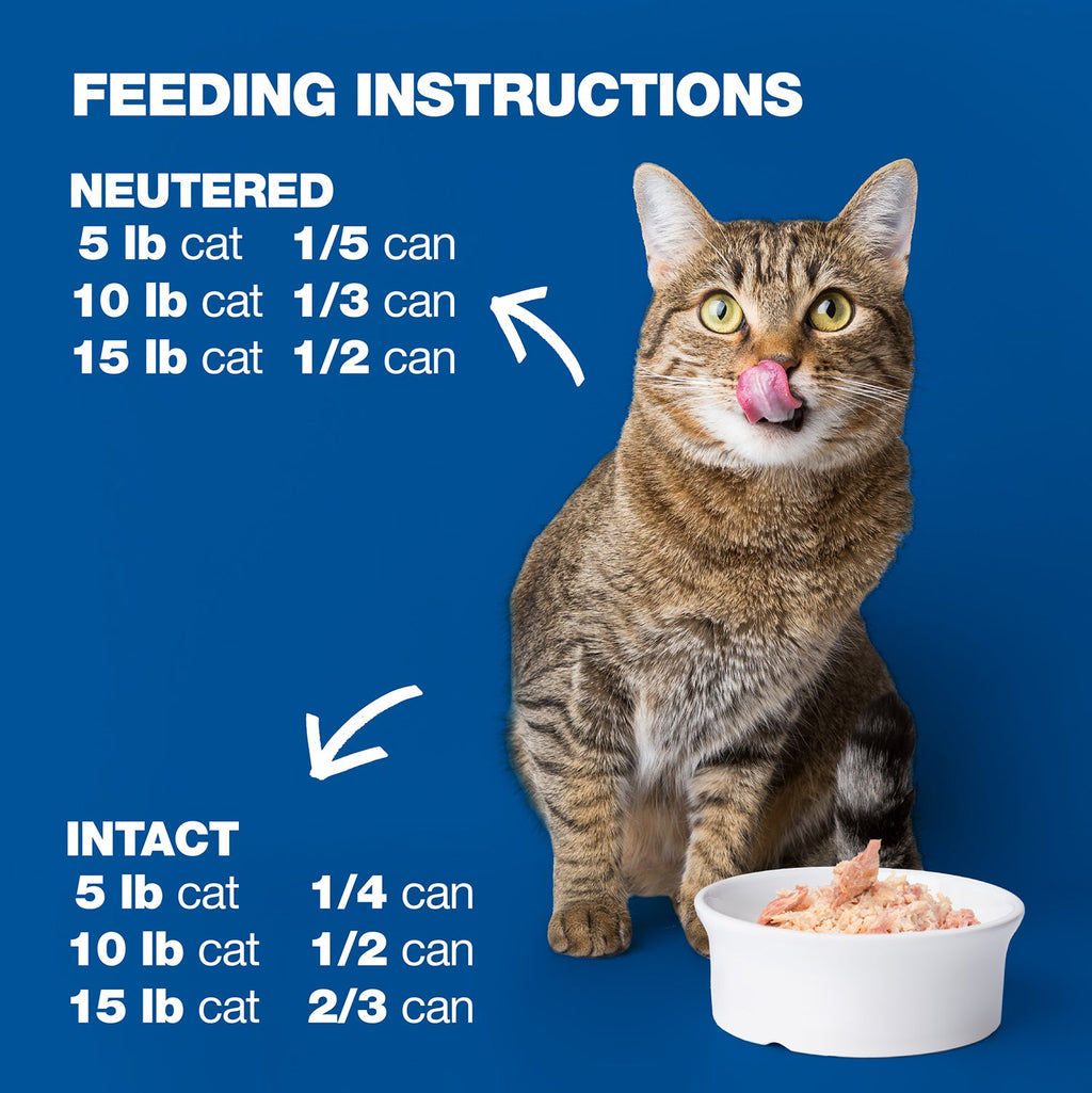 Tuna, Potato & Carrot in Jelly for Adult Cats High Protein Wet Cat Food