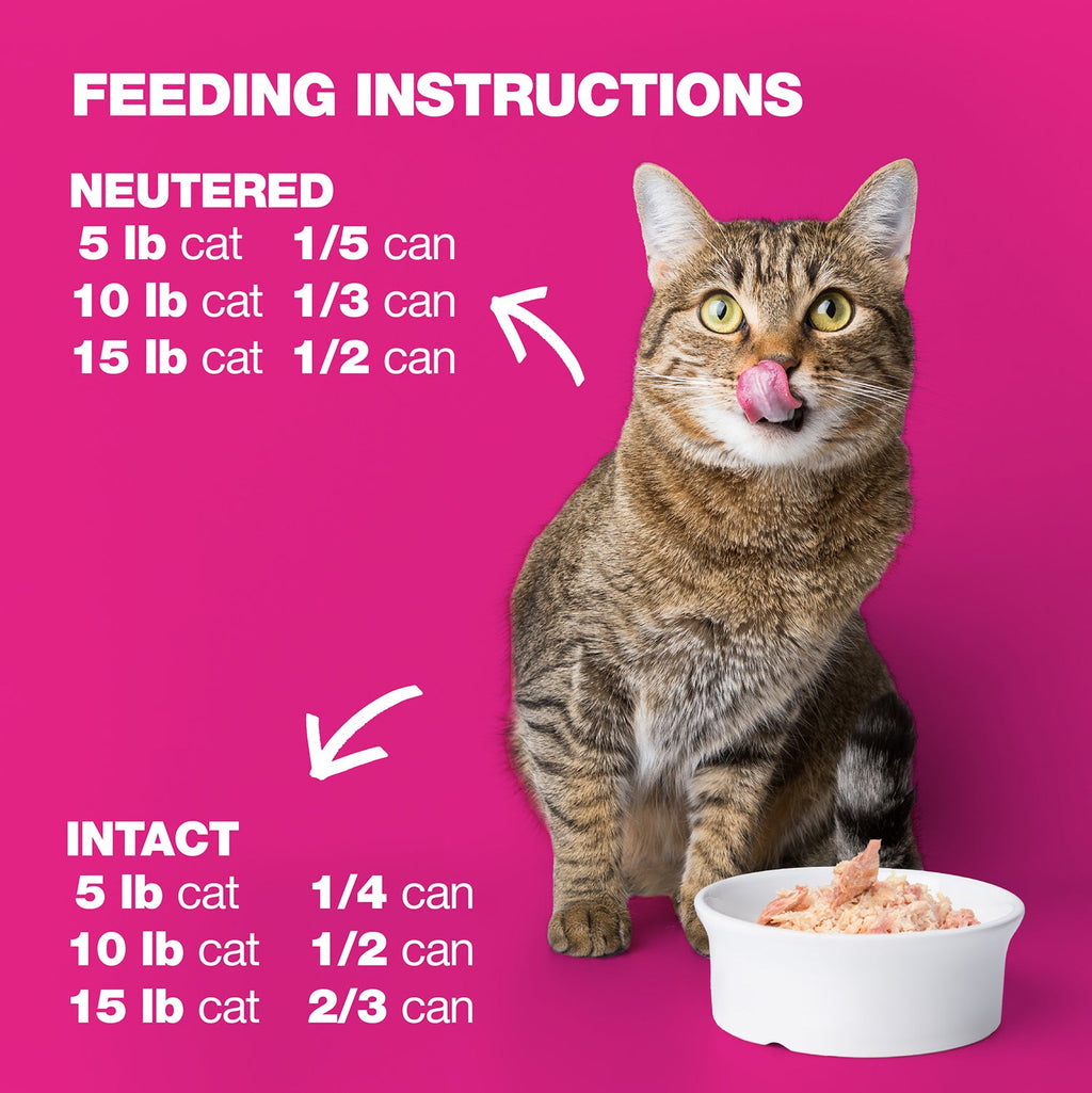 Chicken & Sardines in Jelly for Adult Cats High Protein Wet Cat Food