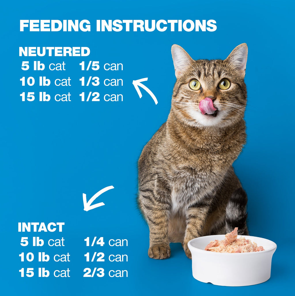 Tuna & Turkey in Jelly for Adult Cats High Protein Wet Cat Food