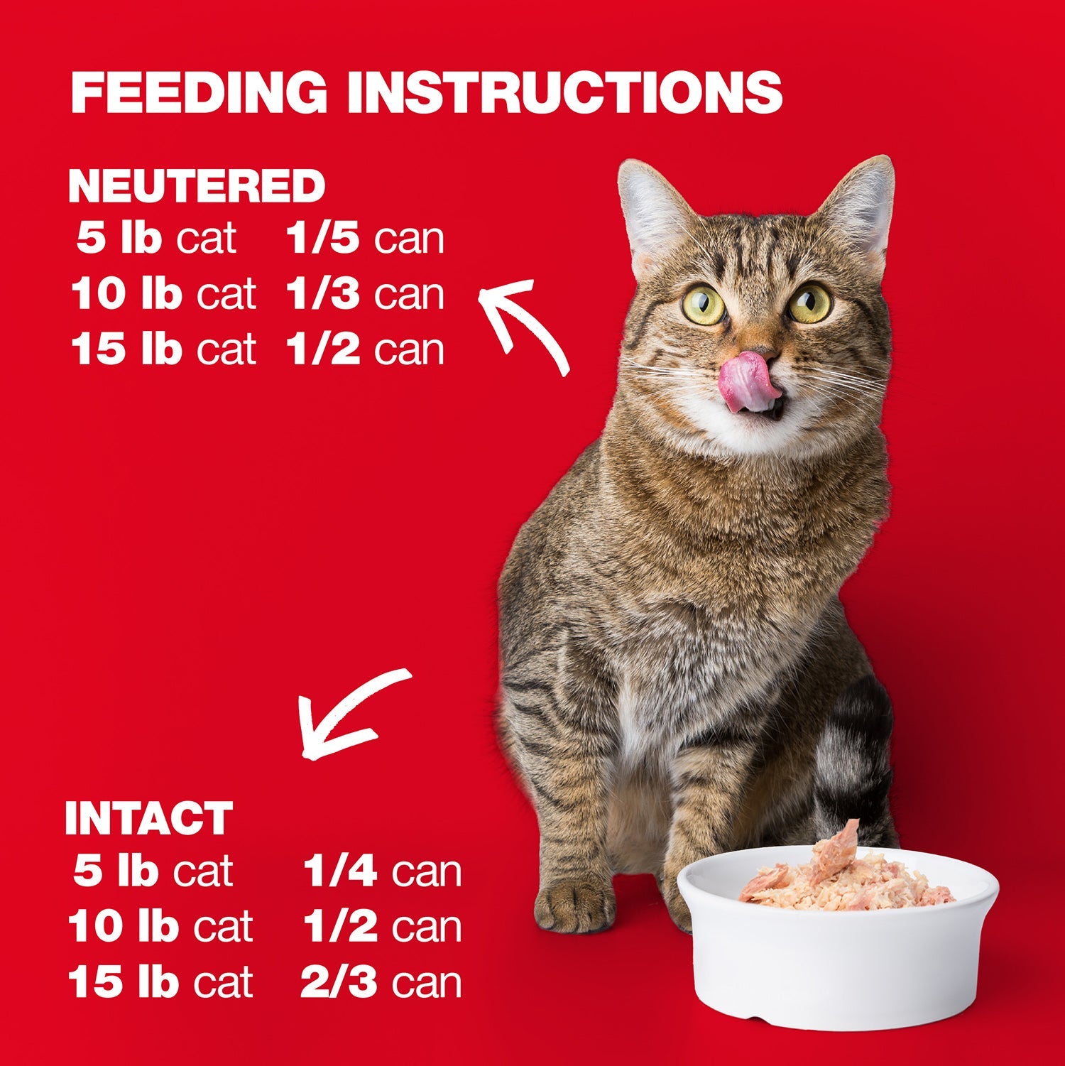Chicken & Turkey in Jelly for Adult Cats High Protein Wet Cat Food