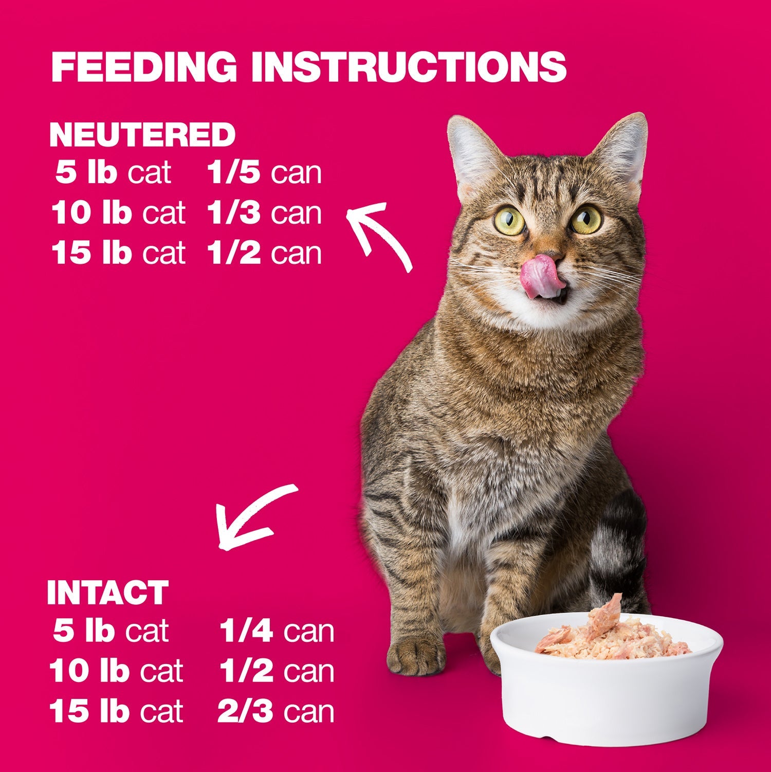 Tuna and Shrimps in Broth for Adult Cats High Protein Wet Cat Food